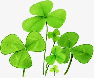 手绘春季三叶植物免抠