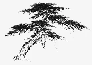 迎客松水墨画免抠