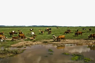 内蒙古克什克腾大草原景区免抠