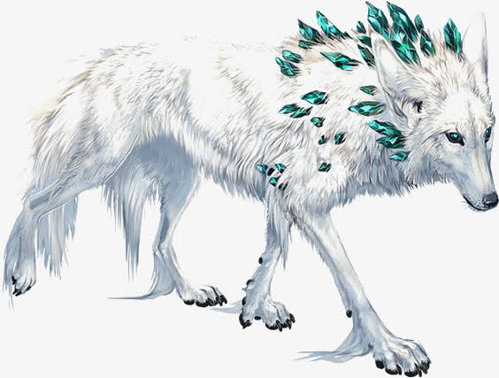 白狼免抠