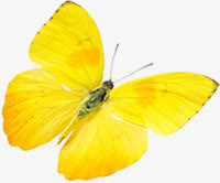 春天黄色漂浮蝴蝶免抠装饰动物元素