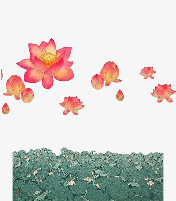 荷花免抠