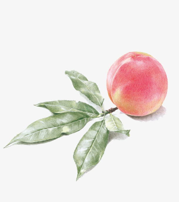 桃子免抠