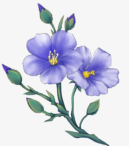 花坛或栽于庭院免抠