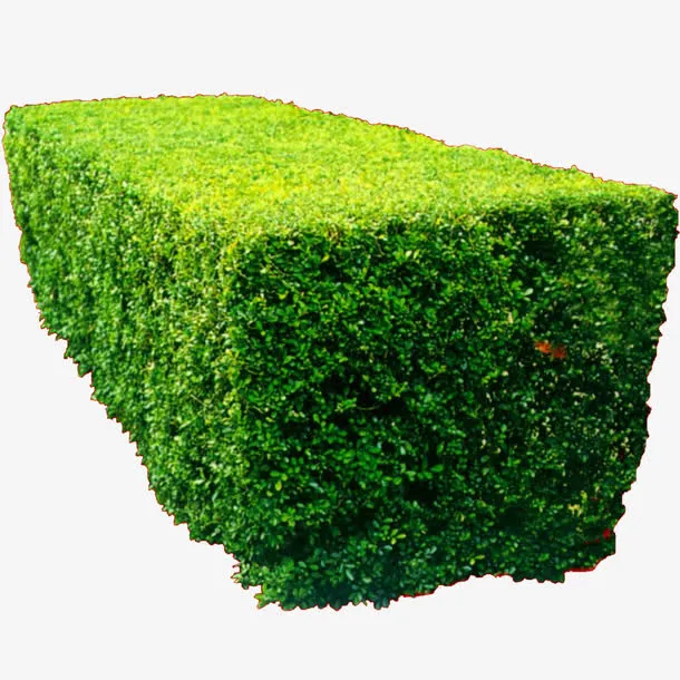 方块灌木丛免抠