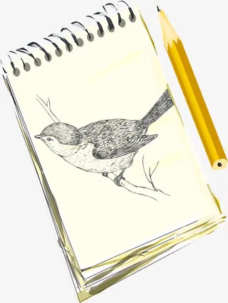 手绘速写小鸟元素免抠