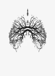 树枝拼凑成的肺免抠