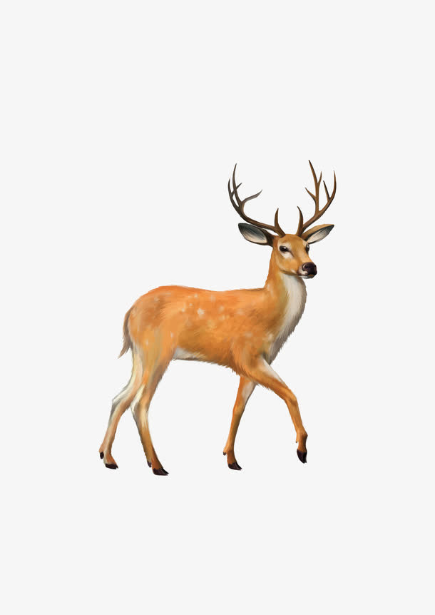鹿免抠