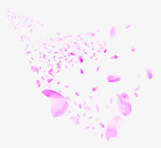 漂浮花瓣免抠