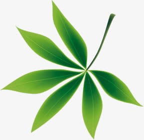 春天手绘绿叶漂浮装饰免抠