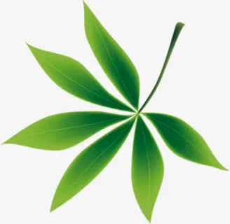 春天手绘绿叶漂浮装饰免抠