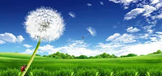 春天背景图高清