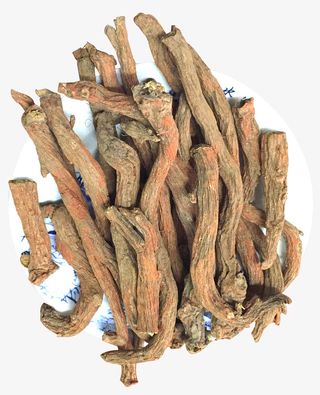 紫丹参 原枝紫丹参免抠