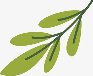 圣诞节，圣诞装饰，圣诞元素免抠