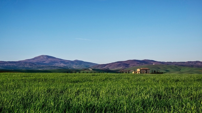 草地,背景,png,素材高清