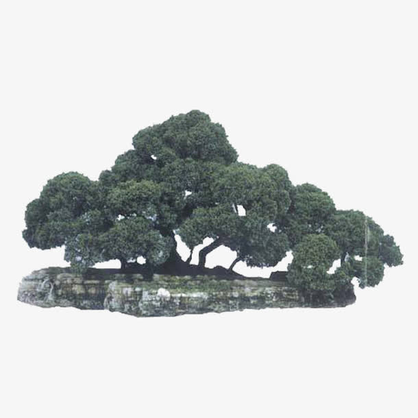 礁石免抠