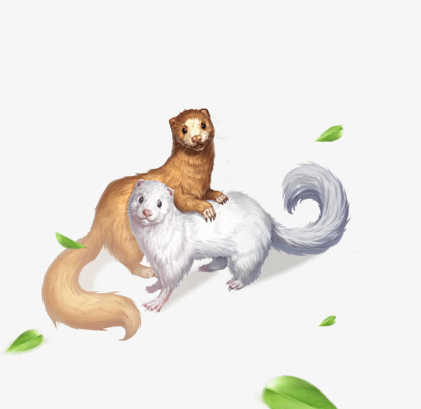 双色手绘可爱鼬鼠免抠