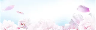 花瓣背景 粉色背景 天猫背景天空高清