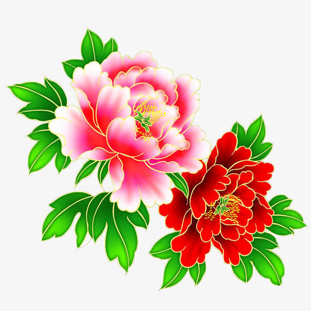 粉色和红色金边牡丹免抠