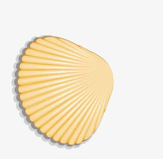 卡通黄色贝壳免抠