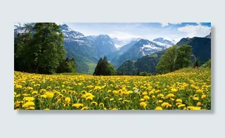 野花田地树林远山背景高清