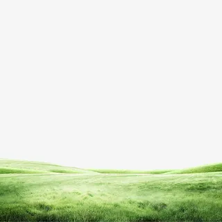 草坪一大片草坪素材免抠