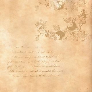 花朵树枝文字背景