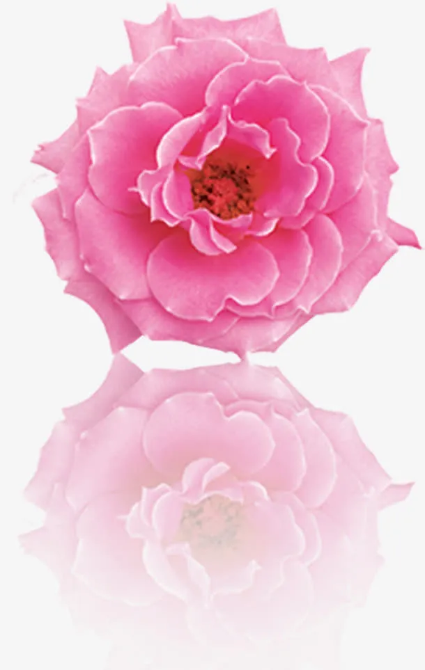 粉色唯美盛开分层花朵免抠