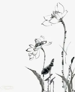 水墨系列山水画之荷花免抠