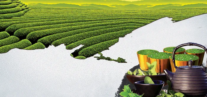 茶叶背景海报高清