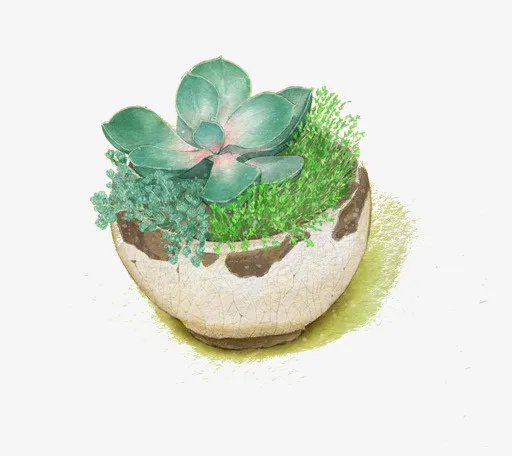 小清新插画广告设计卡通多肉盆栽免抠