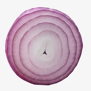 圆形洋葱平面切片免抠
