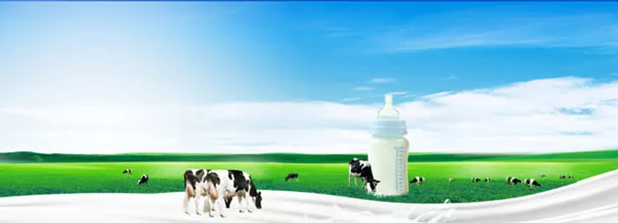 电商淘宝母婴奶粉牛奶奶瓶草原奶牛背景banner