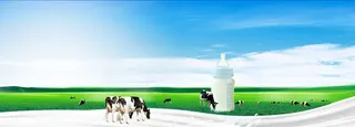 电商淘宝母婴奶粉牛奶奶瓶草原奶牛背景banner