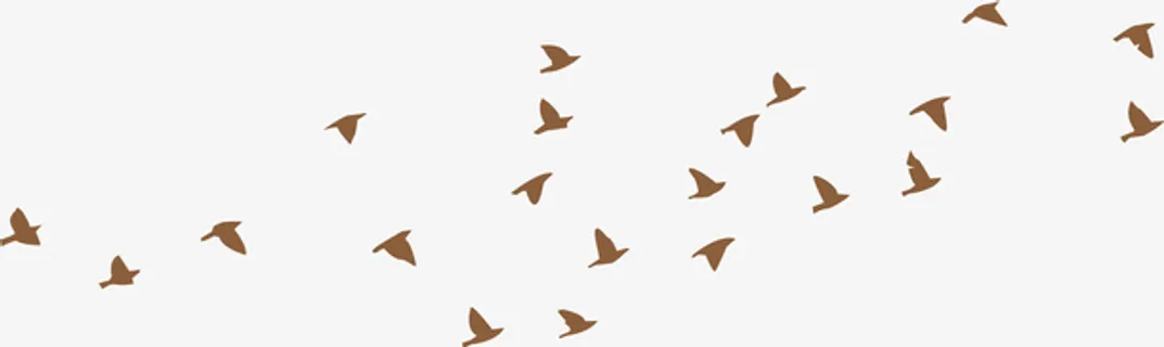 简易大雁南飞免抠