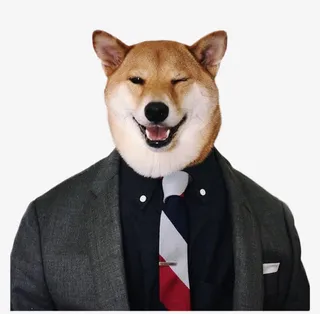 穿衣服的柴犬素材图片免抠