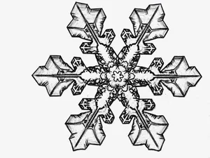 黑色雪花免抠