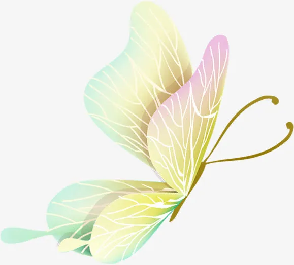 唯美淡雅蝴蝶美景免抠