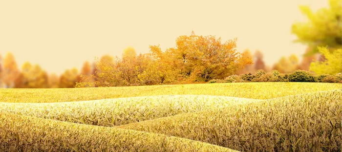 黄昏高清