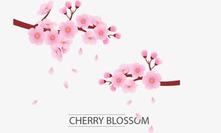 梅花矢量素材免抠