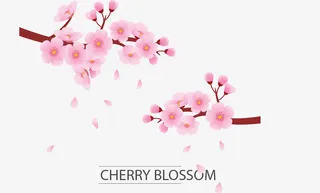 梅花矢量素材免抠