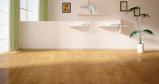 室内家具书架花盆免抠