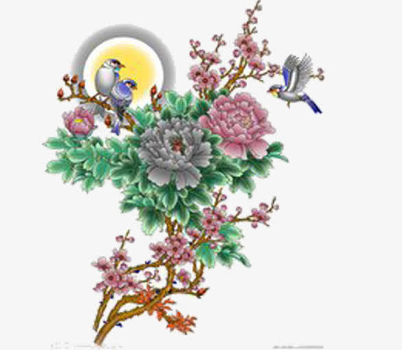 牡丹花开免抠
