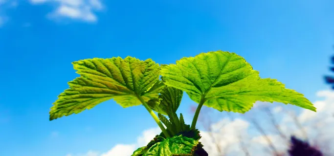 淘宝背景图高清