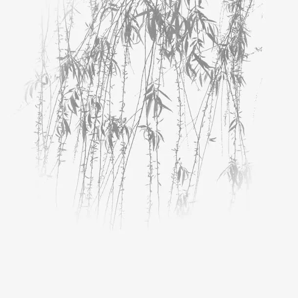 柳枝免抠