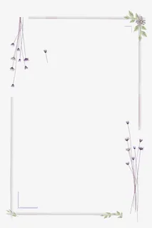 植物边框免抠
