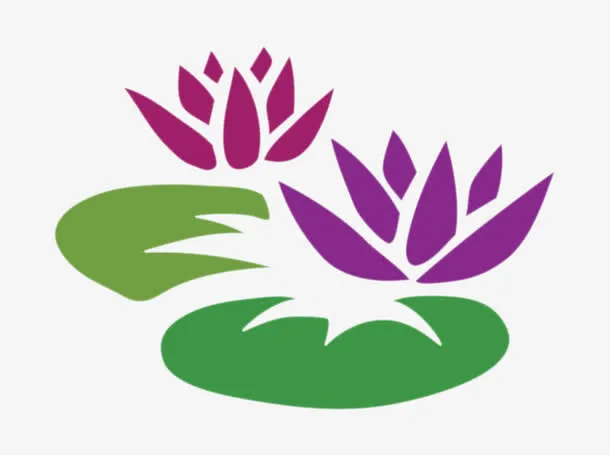 彩色荷花免抠