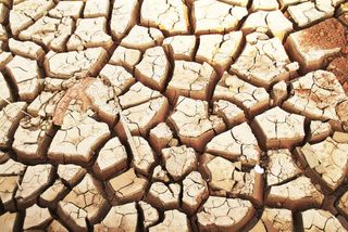 干裂的地表免抠