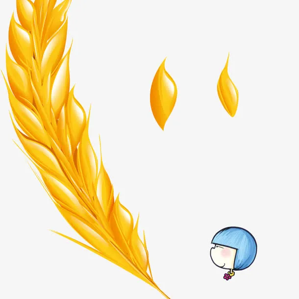 金色麦子免抠