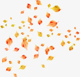 水彩花卉素材唯美花草图片免抠